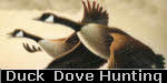Duck & Dove Hunting